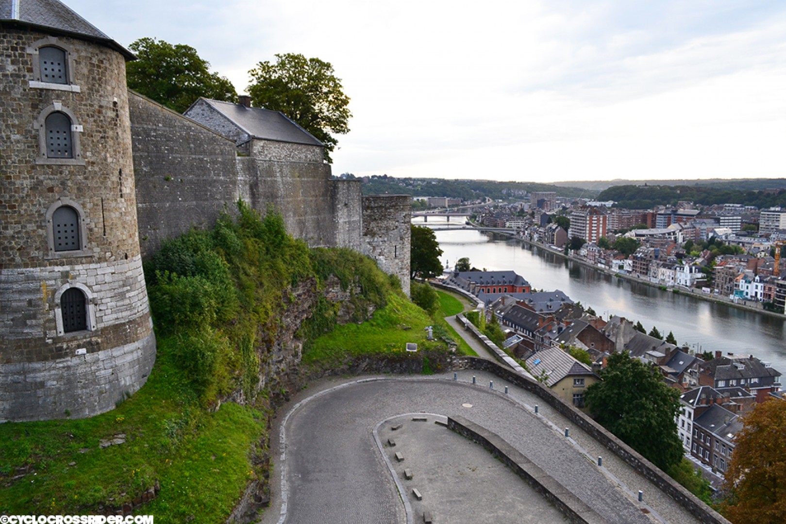 Бегония namur фото